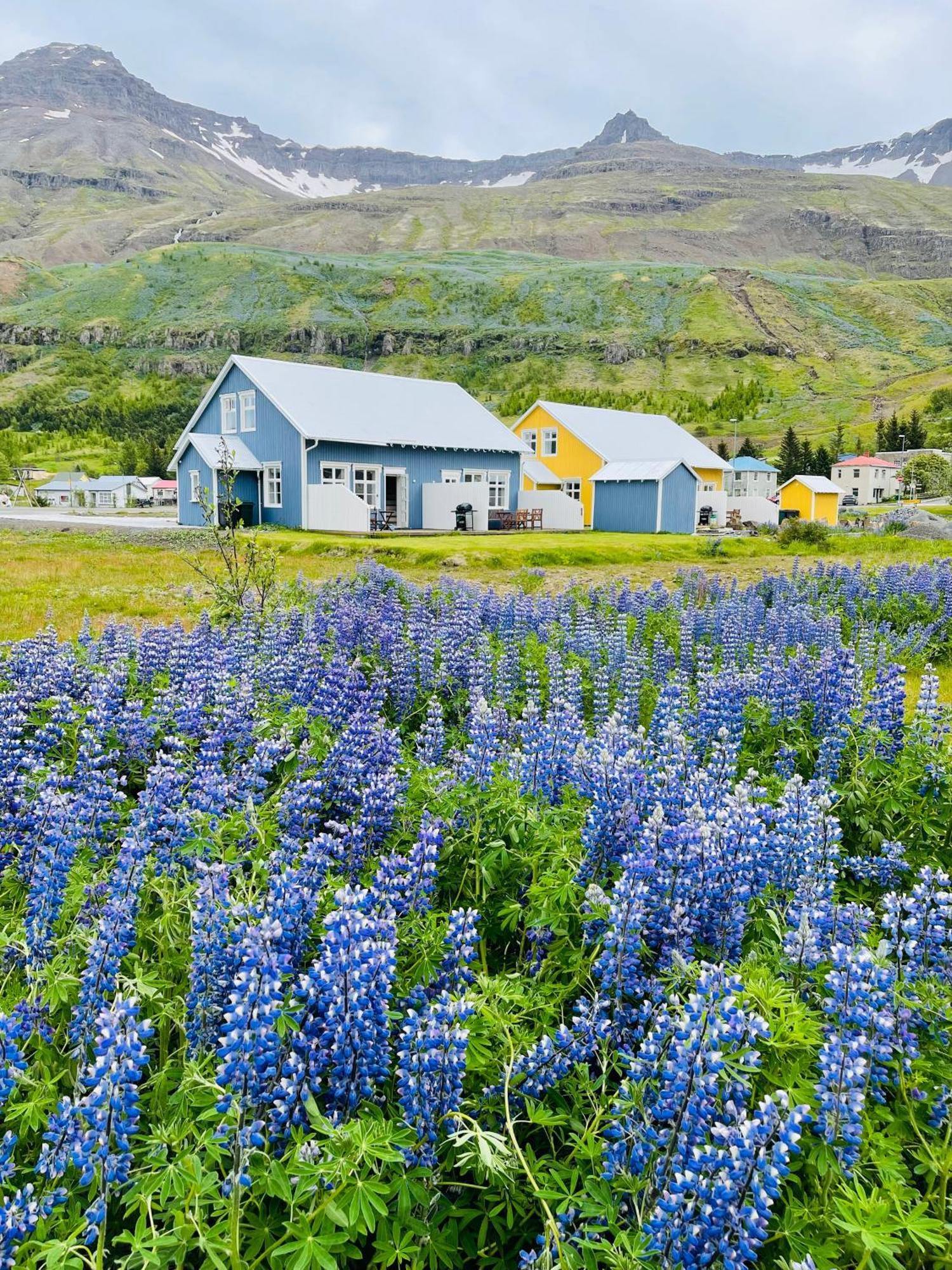 Lónsleira Apartments Seythisfjorthur Exterior foto